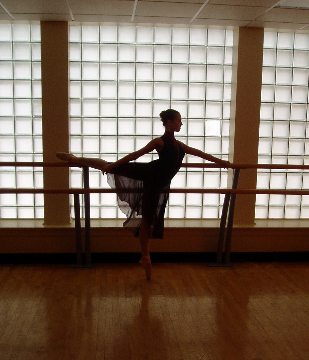 Dance Publications Ballet Dancer